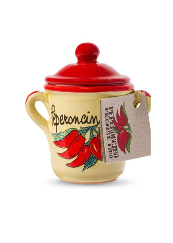 Fine chilli powder in terracotta pot