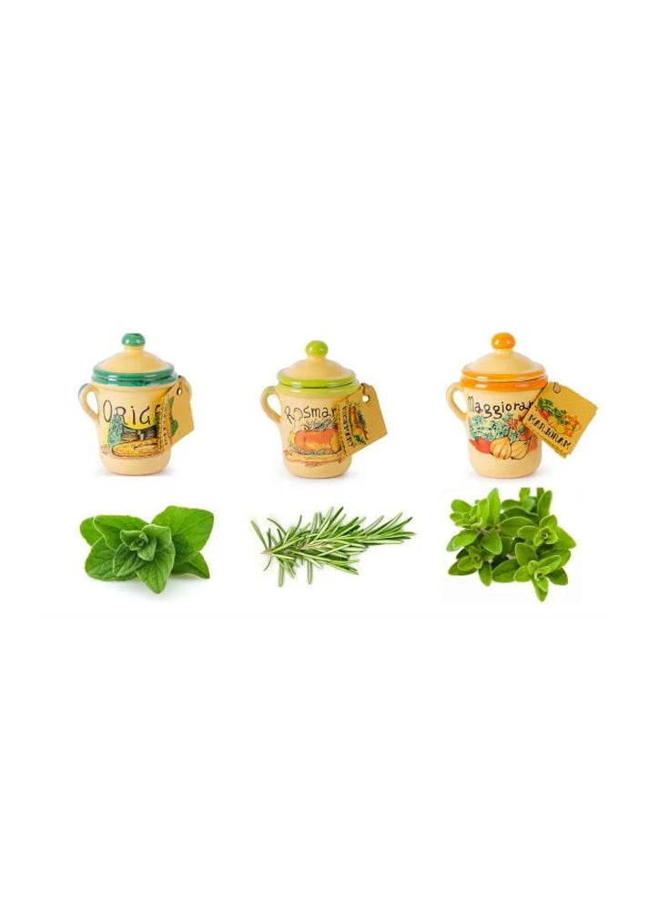 Set of 3 Terracotta Herb Pots