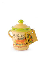 Rosemary in Hand Made Terracotta Pot